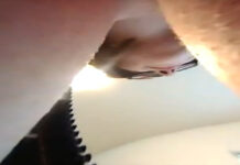 Tiny Husband Lost in Tits