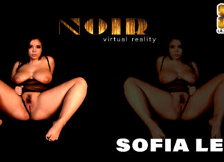 Noir – Sofia Lee II