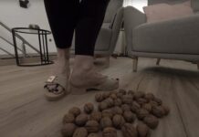 Sabdeluxe – Walnut Crush